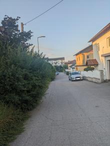 Heckenschnitt, Hecke ragt auf Straße