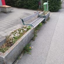 Blumentröge und Zugang Kindergarten /HortHaag